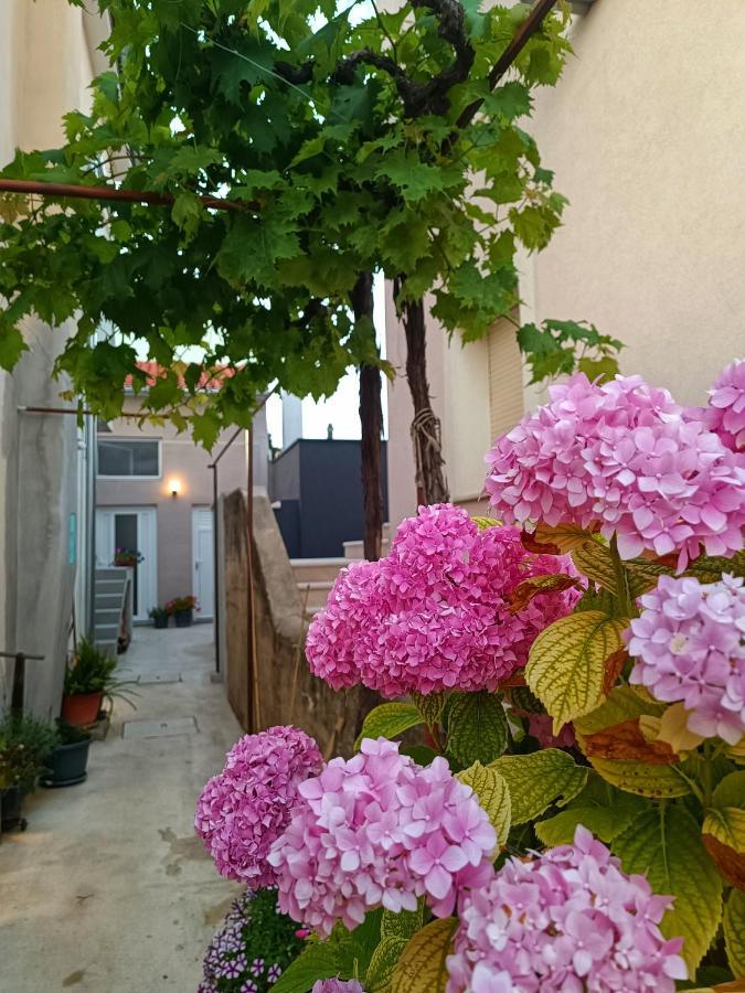 Apartman Gallery Freya Zadar Exterior foto